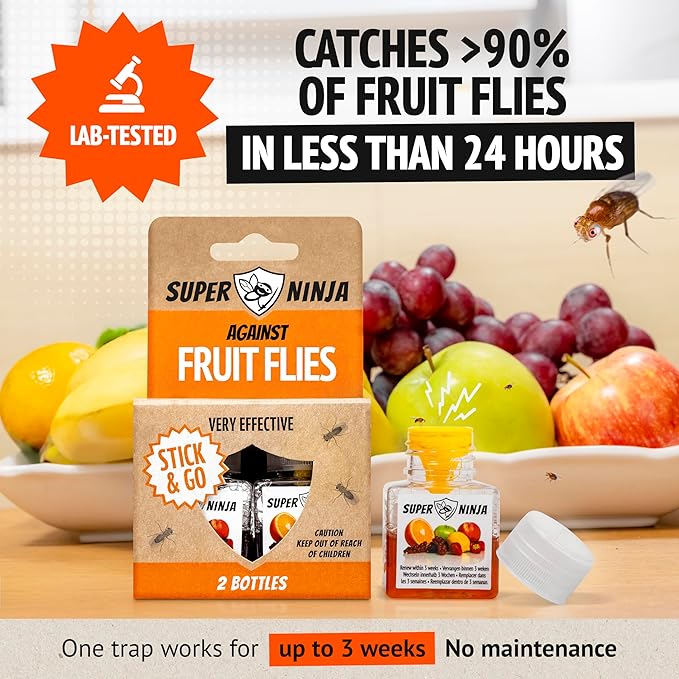 Fruit Fly Traps