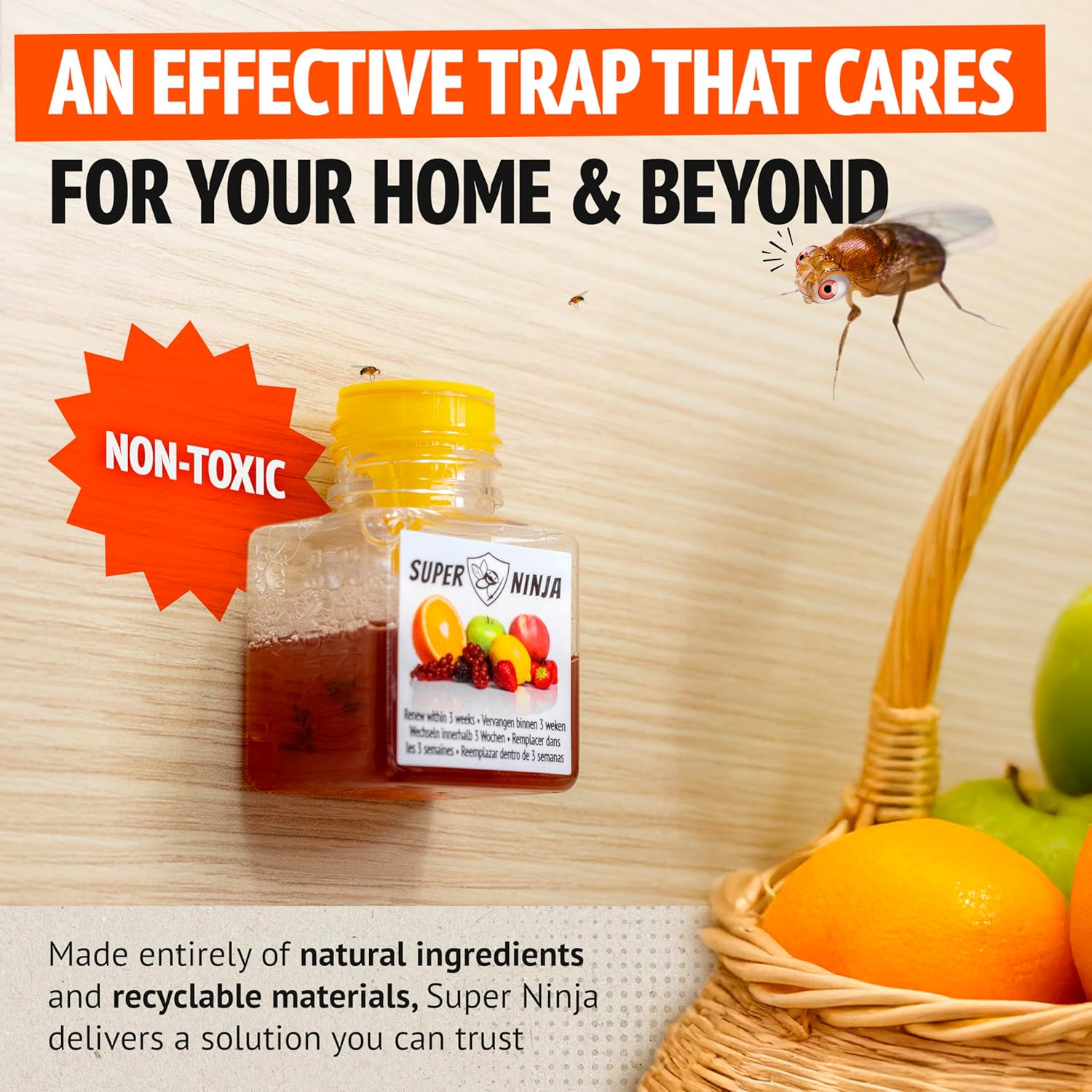 Fruit Fly Traps