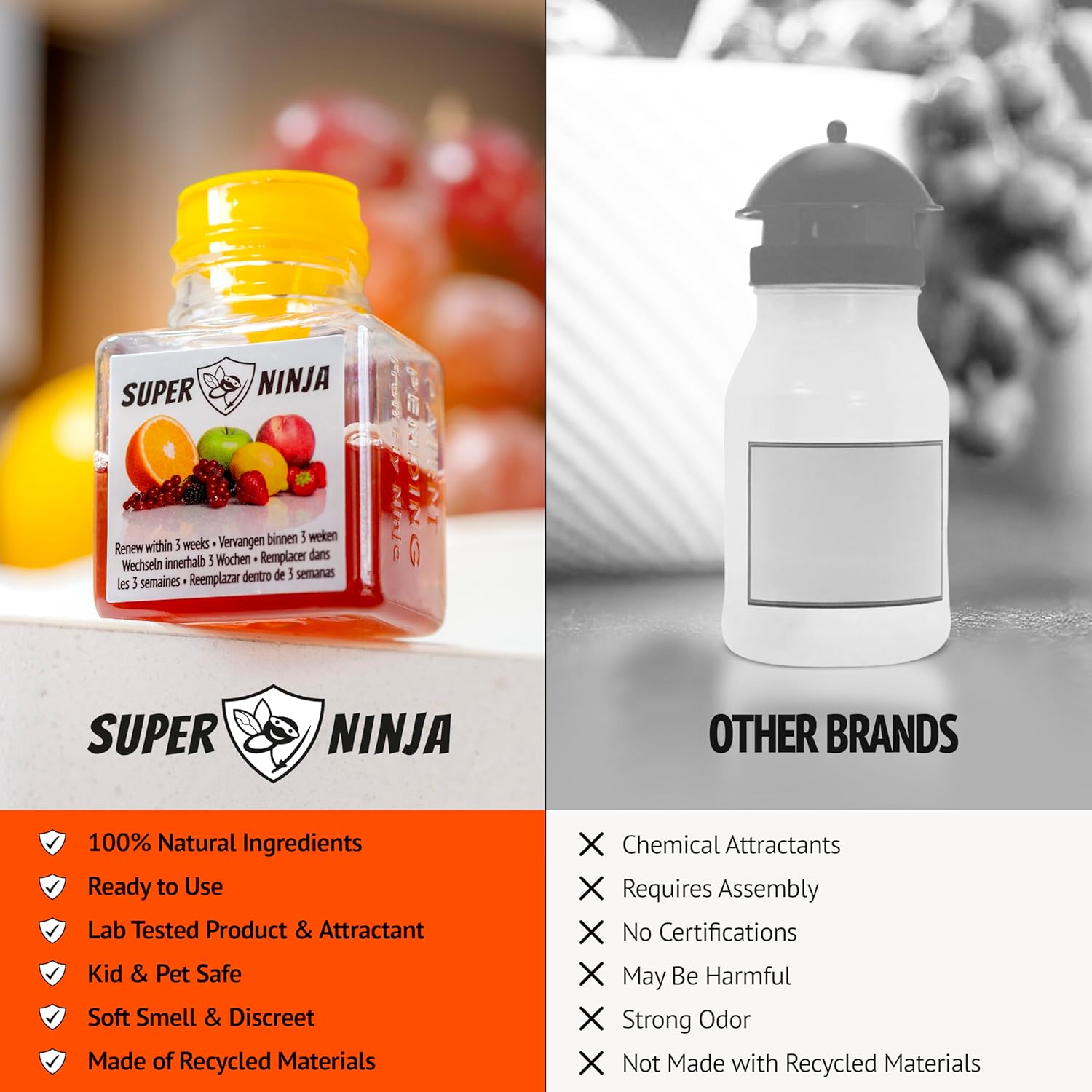 Fruit Fly Traps