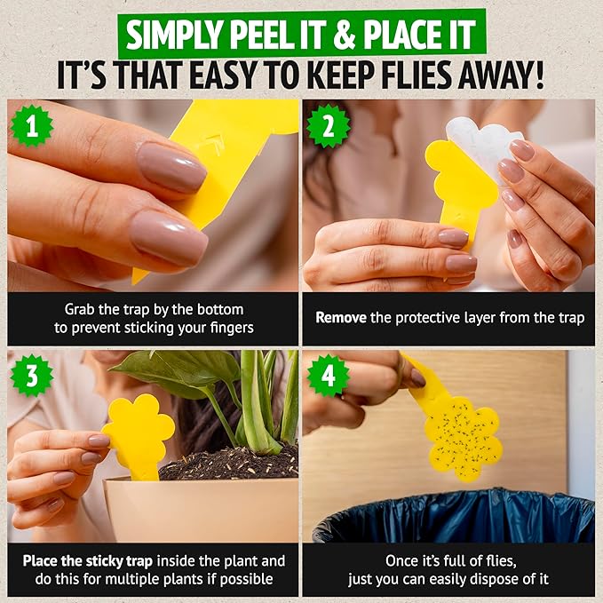 Gnat Traps